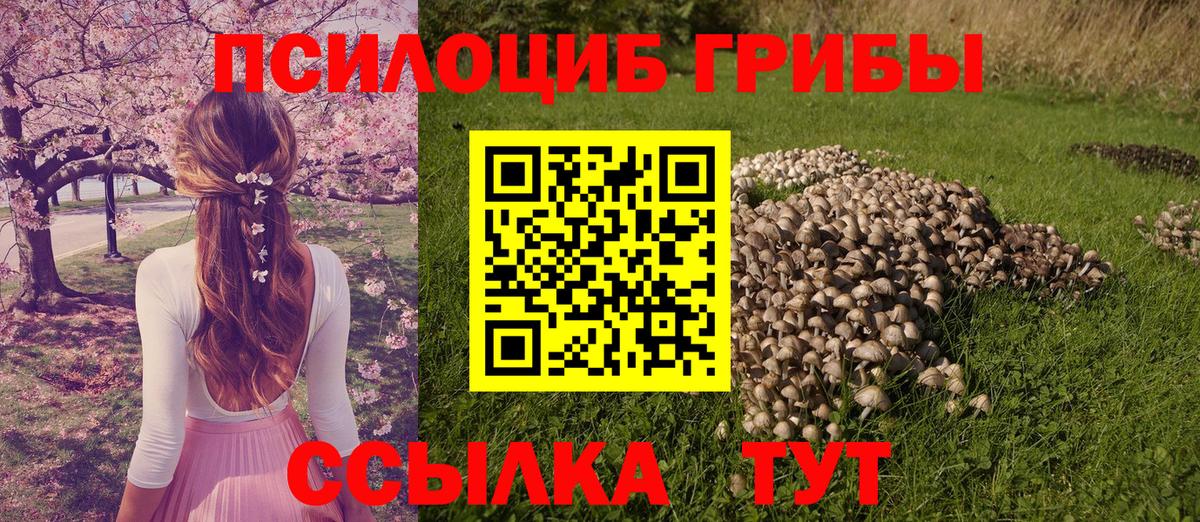 Псилоцибиновые грибы GOLDEN TEACHER Арзамас