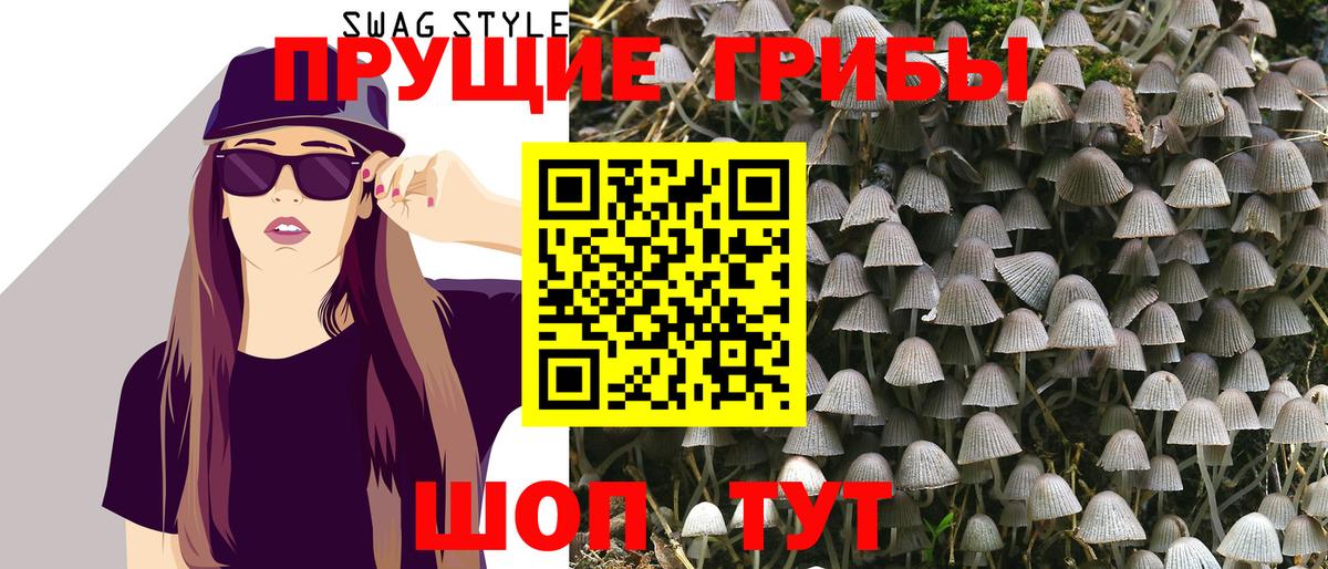 Арзамас  Псилоцибиновые грибы Psilocybe  Вход с VPN 